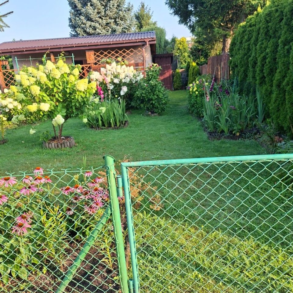 Działka rod Żyrardów. Zdjęcie 5