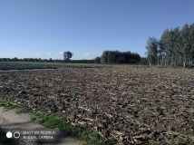 Działka budowlana Piorunów. Zdjęcie 2