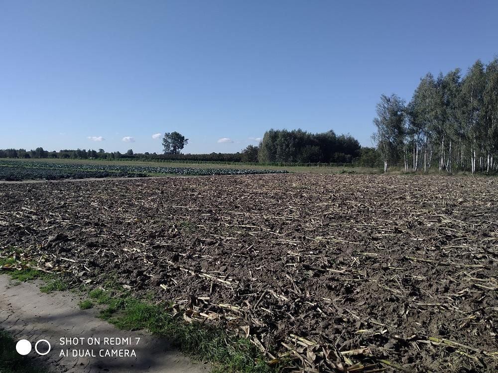 Działka budowlana Piorunów. Zdjęcie 3