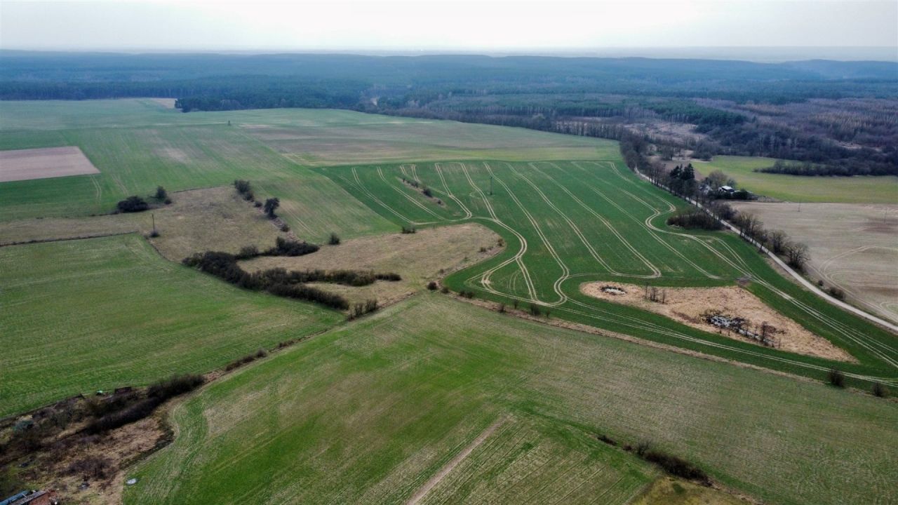 dom wolnostojący Żelichów. Zdjęcie 3