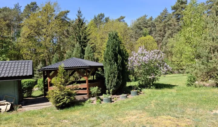 Działka Sierakówek