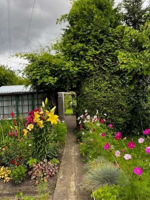 Działka rod Malbork. Zdjęcie 8