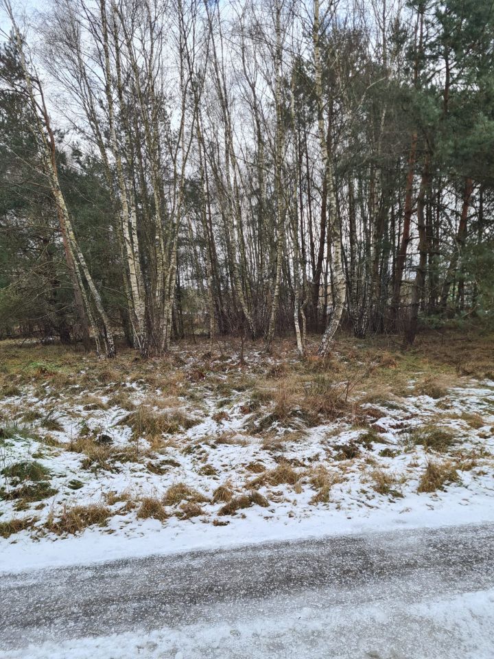 Działka rolno-budowlana Gostyniec. Zdjęcie 3