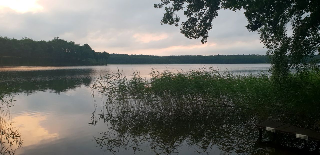 Działka siedliskowa Łupawsko. Zdjęcie 4