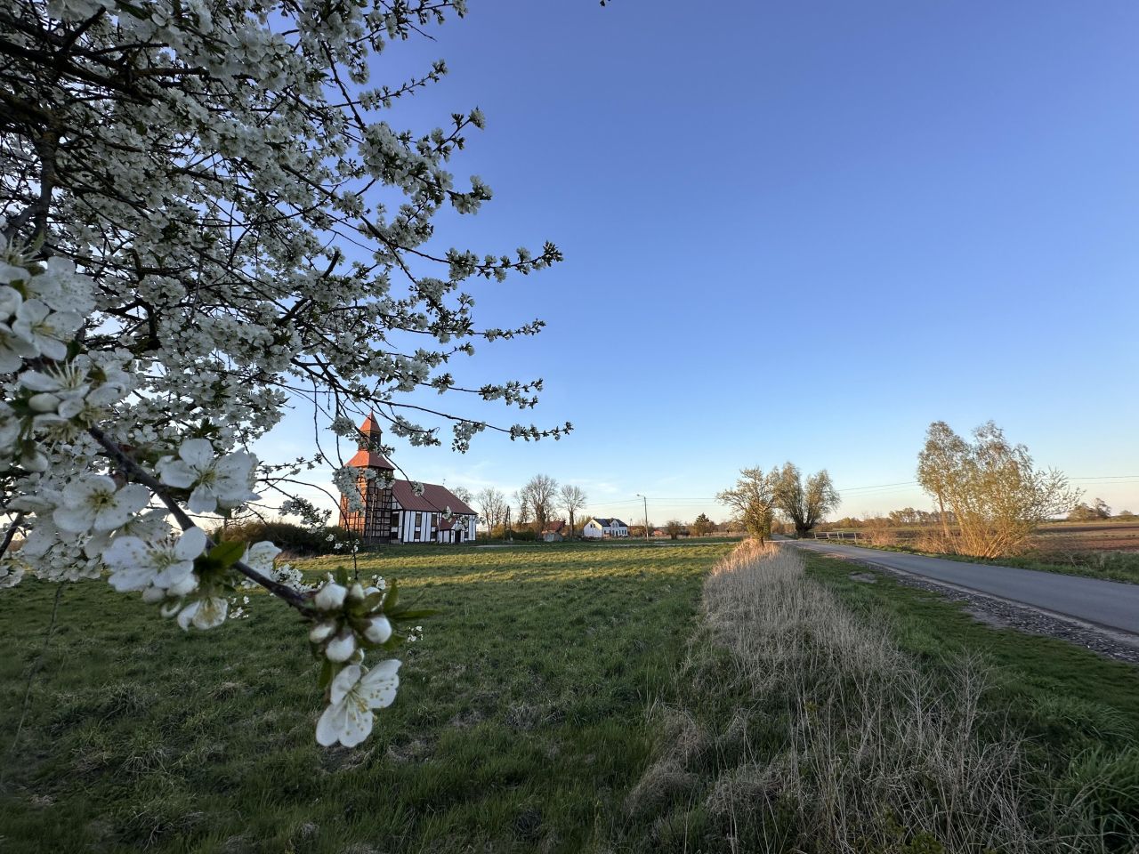 Działka budowlana Przynotecko. Zdjęcie 10