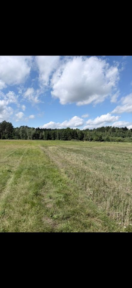 Działka Curyn. Zdjęcie 9