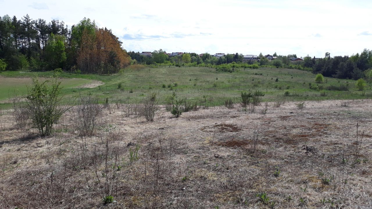 Działka rolna Siemianice, ul. Polna. Zdjęcie 4