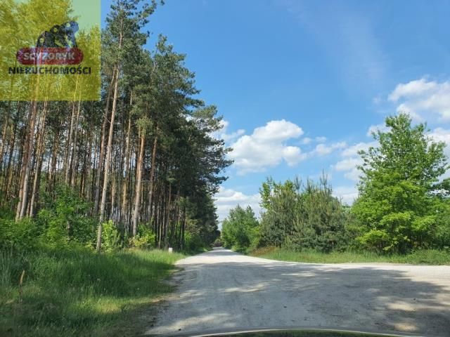 Działka budowlana Piekoszów, ul. Chabrowa