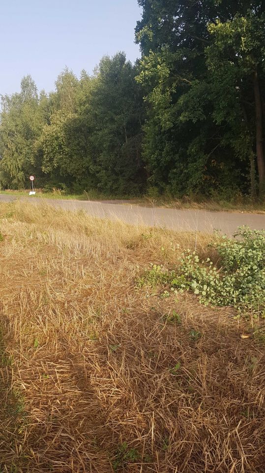 Działka budowlana Hruszew. Zdjęcie 2