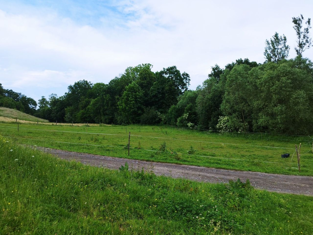 Działka rolno-budowlana Graboszyce. Zdjęcie 7