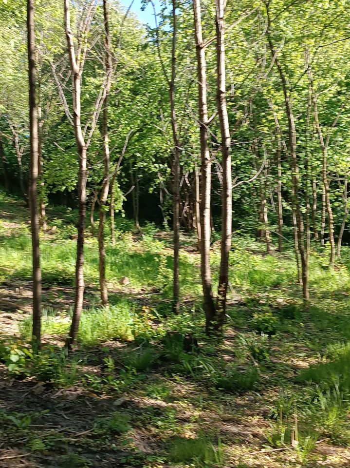 Działka rolna Roje. Zdjęcie 2