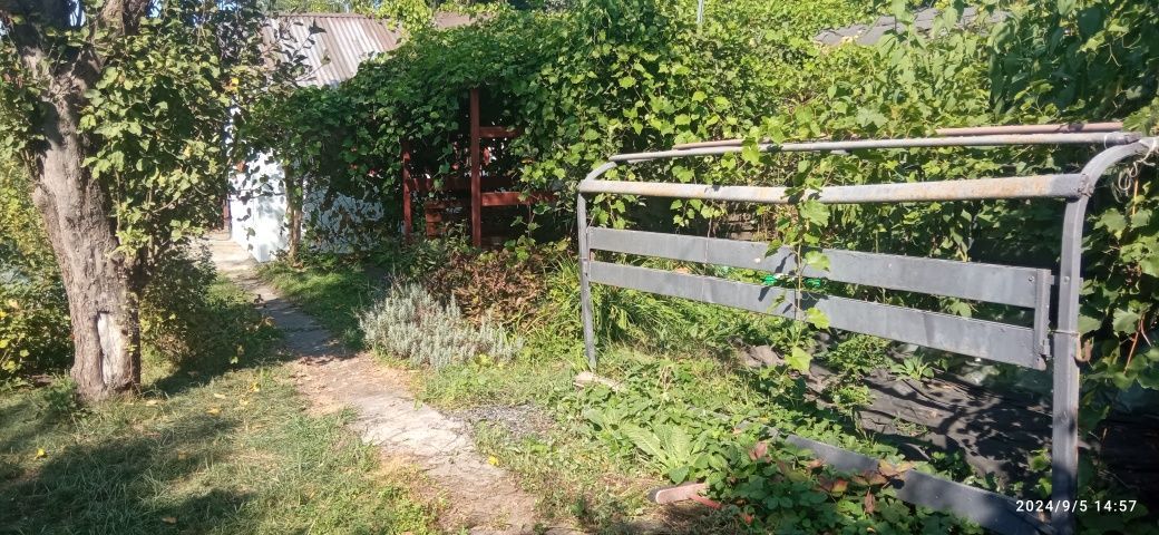 Działka rod Wrocław Krzyki, ul. Wilcza. Zdjęcie 8