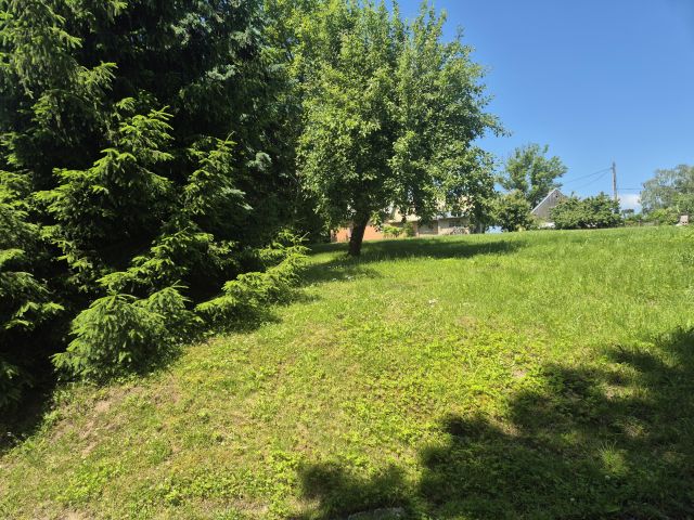 Działka siedliskowa Rychliki. Zdjęcie 5