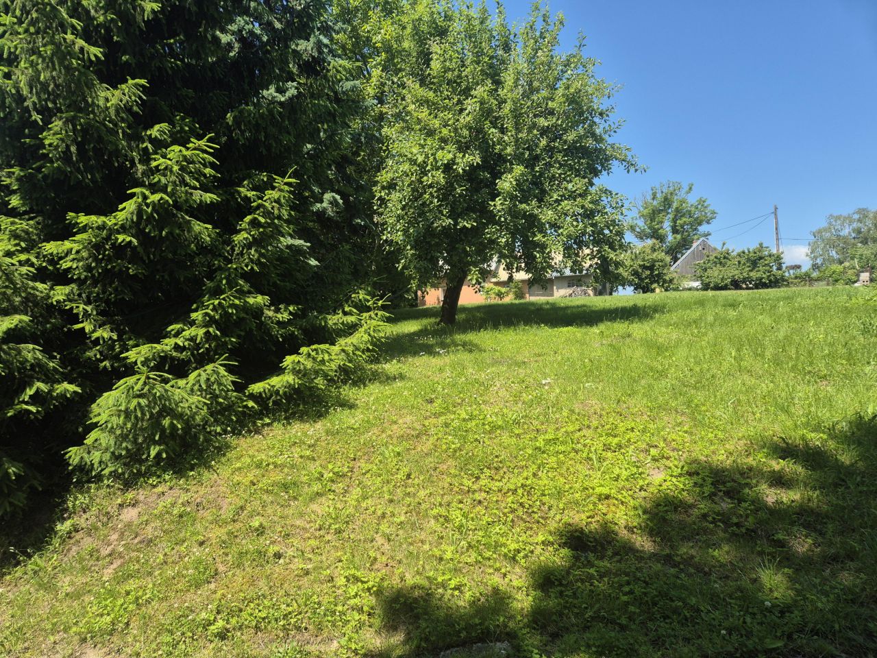 Działka siedliskowa Rychliki. Zdjęcie 5