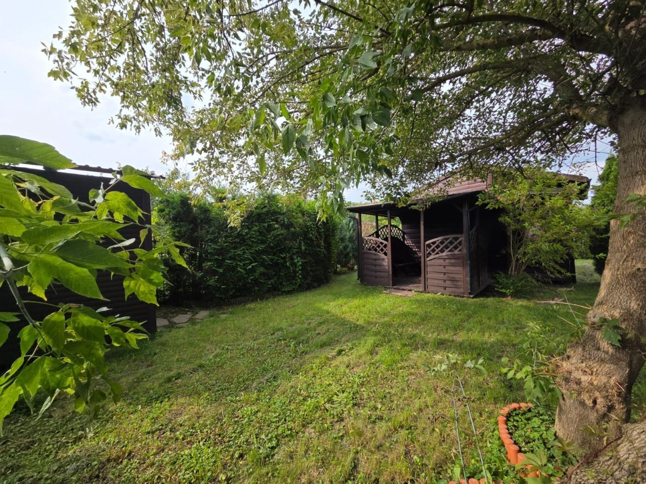 Działka rod Ełk. Zdjęcie 4