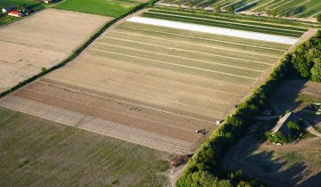 Działka rolna Bedlno