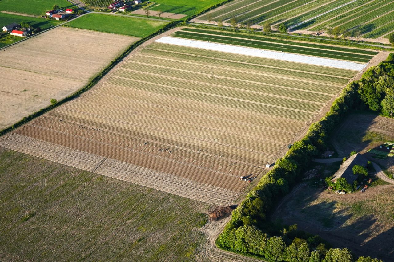 Działka rolna Bedlno. Zdjęcie 2
