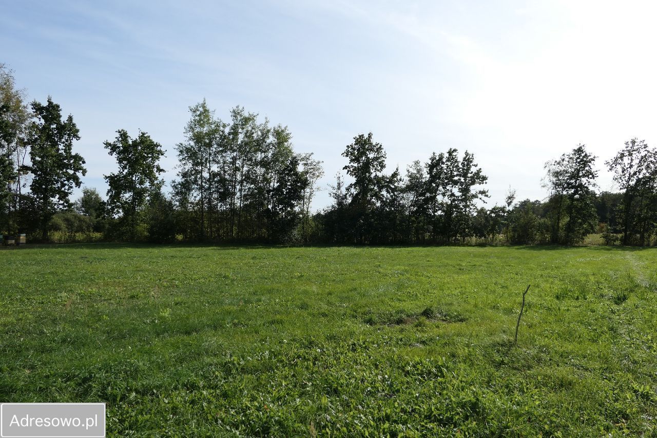 Działka budowlana Krzaki Czaplinkowskie. Zdjęcie 3