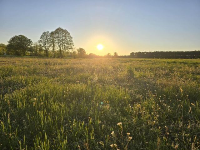 Działka budowlana Brzóze Małe. Zdjęcie 1