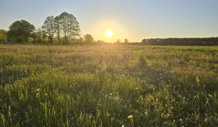 Działka budowlana Brzóze Małe
