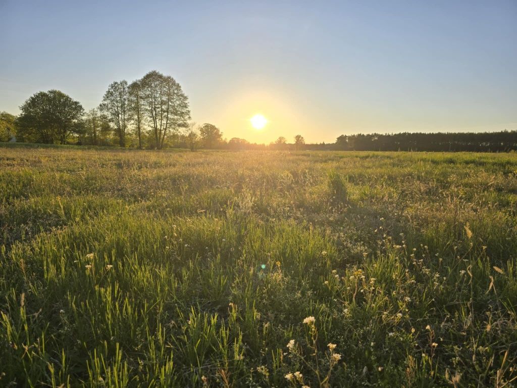 Działka budowlana Brzóze Małe