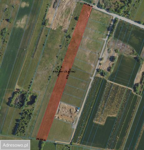 Działka inwestycyjna Fasty. Zdjęcie 1