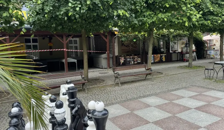 Nieruchomość komercyjna Kudowa-Zdrój, ul. Zdrojowa
