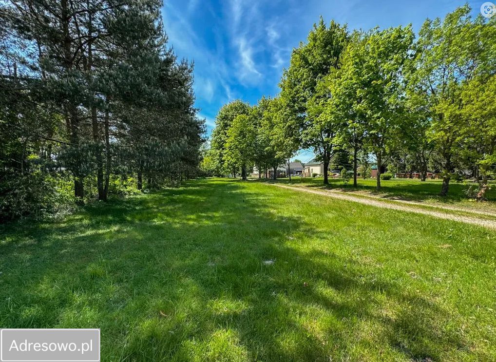 Hala/magazyn Dąbrówka-Wyłazy. Zdjęcie 4