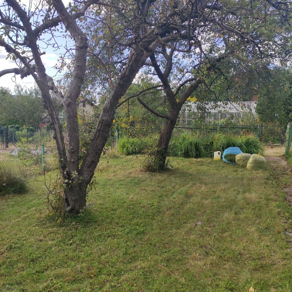 Działka rod Chojnice, ul. Kościerska. Zdjęcie 2