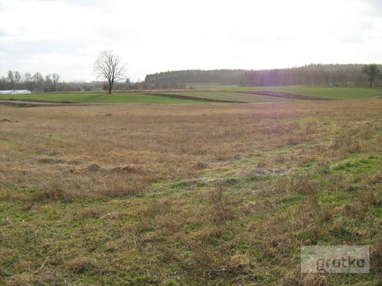 Działka rolno-budowlana Rzeczków. Zdjęcie 7