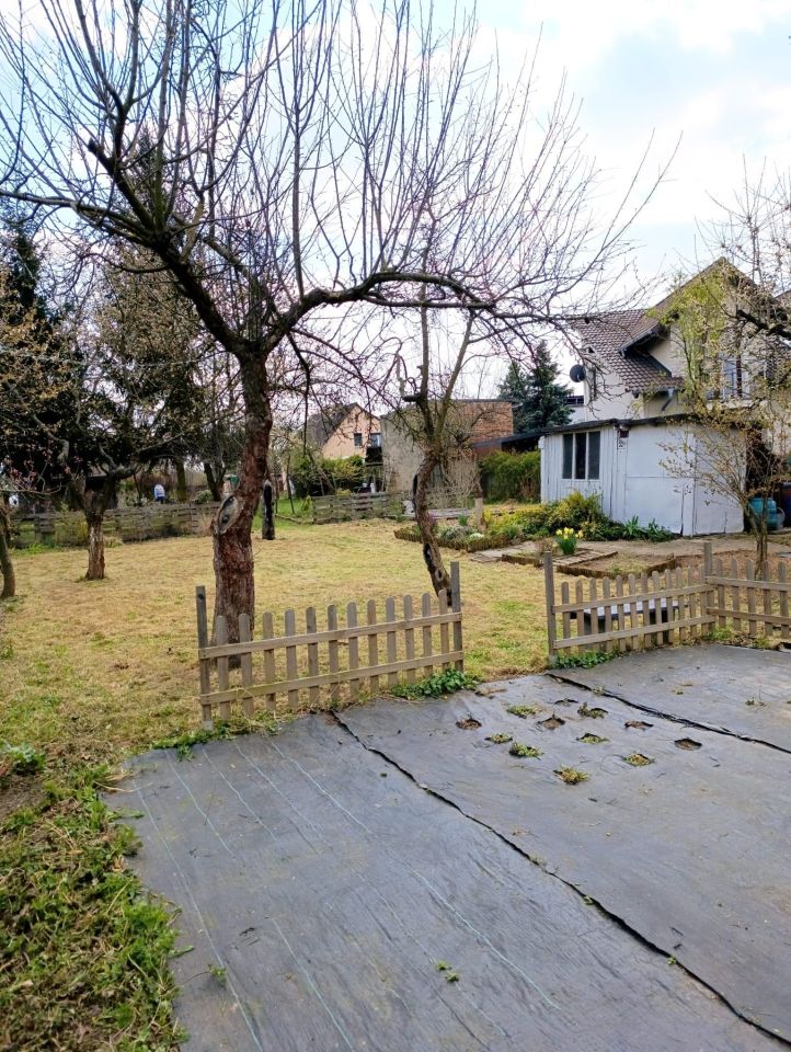 Działka rod Nysa, ul. Władysława Jagiełły. Zdjęcie 4