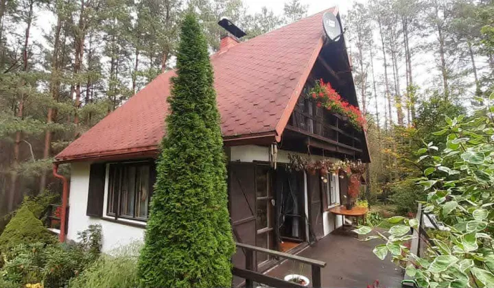 Działka siedliskowa Olpuch