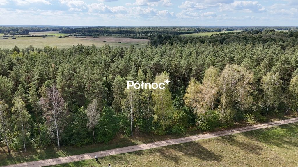 Działka leśna Pieńczykowo. Zdjęcie 7