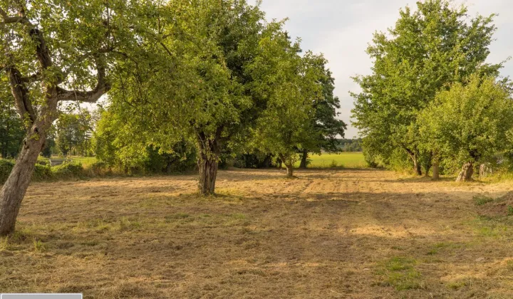 Działka rolna Zbuczyn, ul. Północna