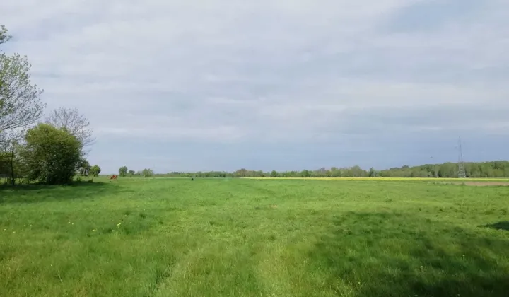 Działka siedliskowa Lubień