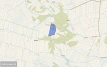 Działka rolna Pijawnia. Zdjęcie 2