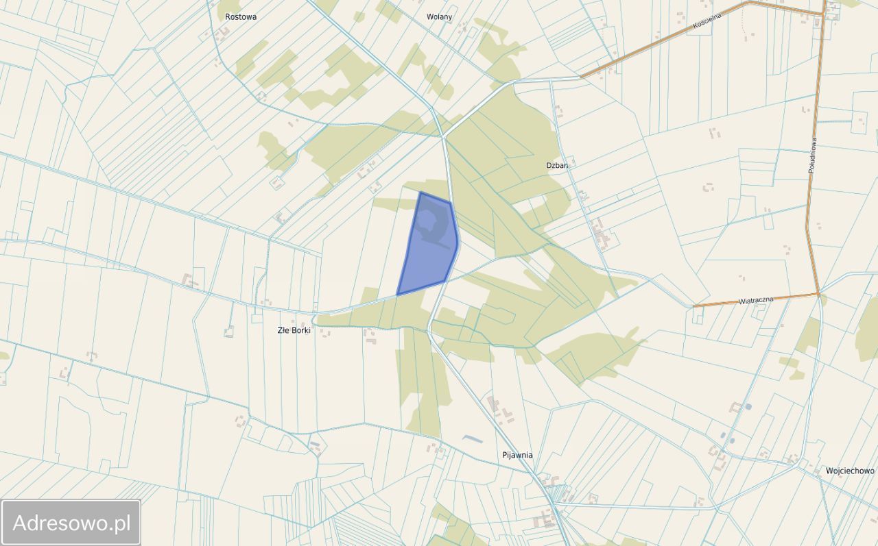 Działka rolna Pijawnia. Zdjęcie 3