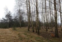 Działka siedliskowa Osuchów, ul. Okrężna. Zdjęcie 1