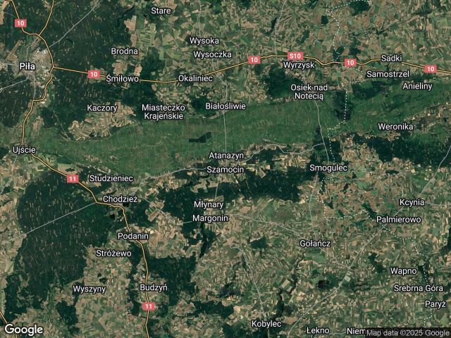 Działka budowlana Szamocin Ludwikowiec, ul. Leśna. Zdjęcie 1