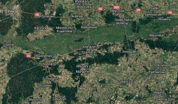 Działka budowlana Szamocin Ludwikowiec, ul. Leśna