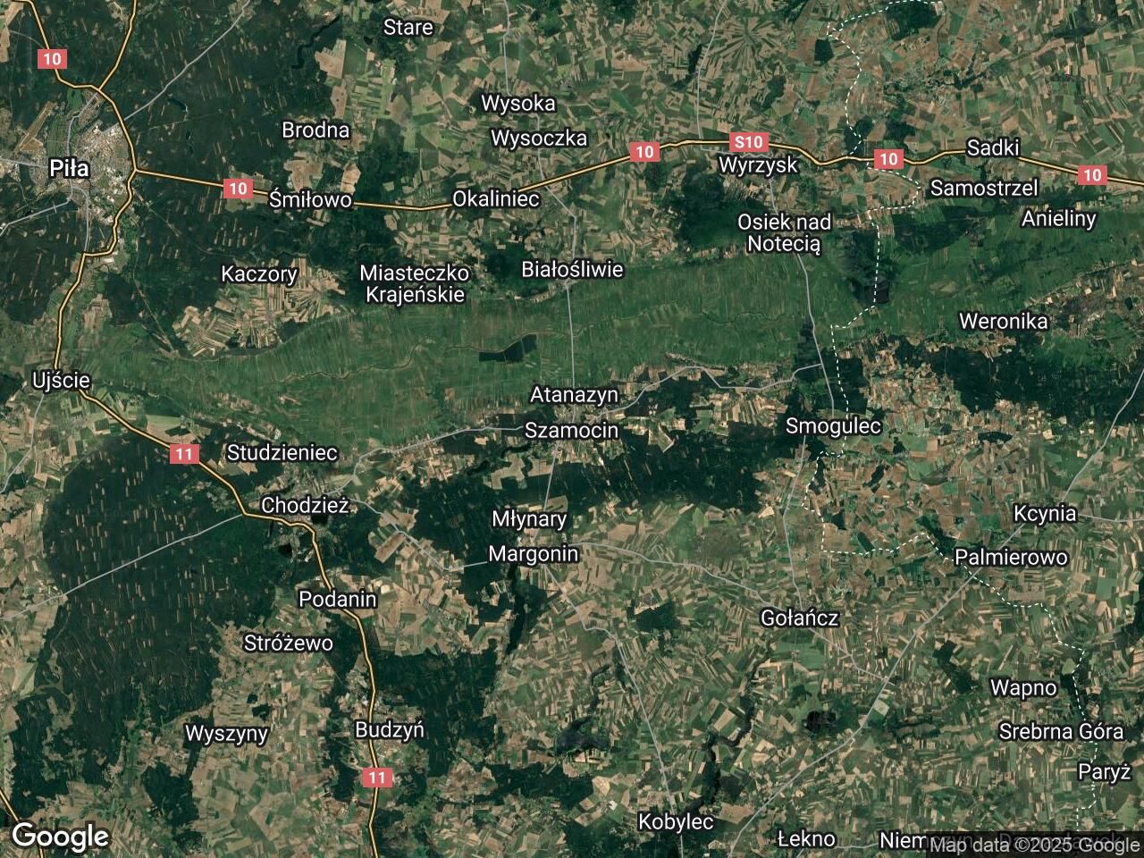 Działka budowlana Szamocin Ludwikowiec, ul. Leśna