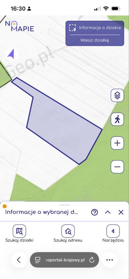 Działka rolna Gostynie Szadykierz. Zdjęcie 1