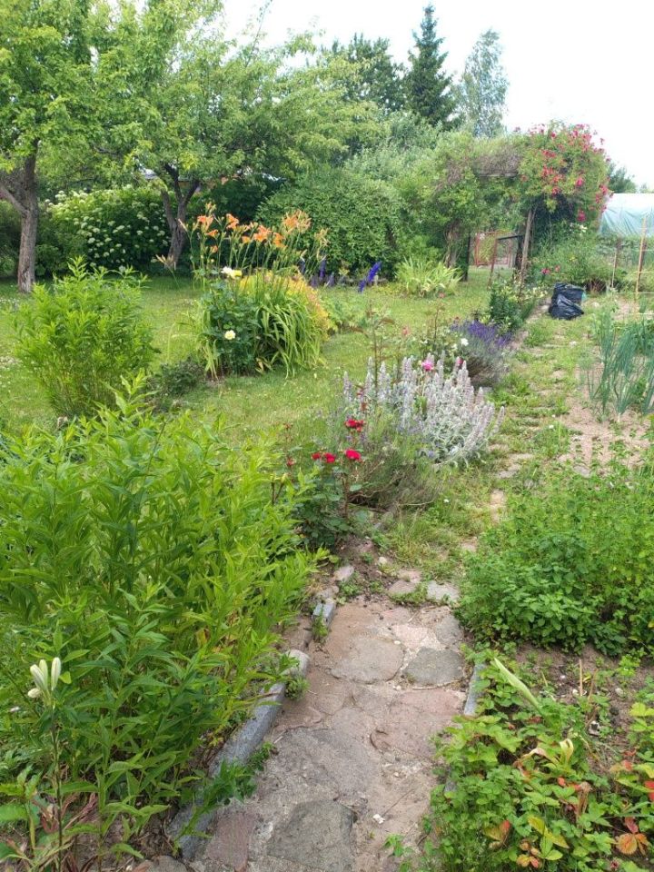 Działka rod Suwałki. Zdjęcie 2