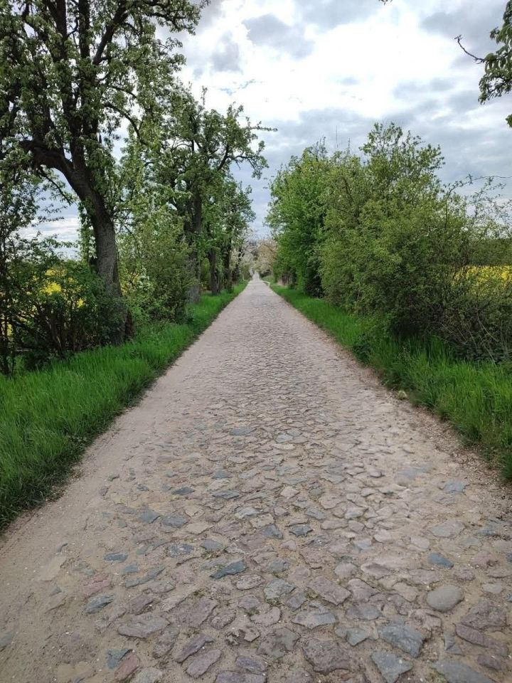 Działka rolno-budowlana Narost. Zdjęcie 6