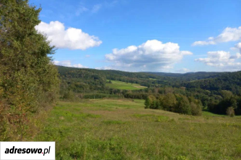 Działka rolno-budowlana Pietrusza Wola. Zdjęcie 2