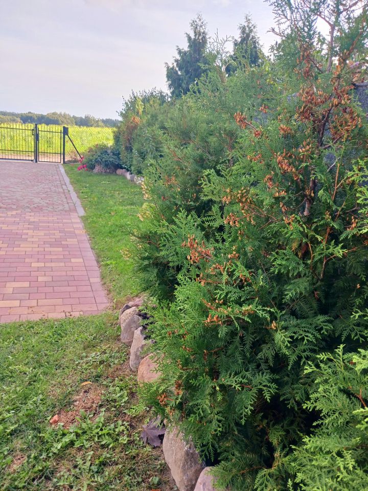 dom wolnostojący, 4 pokoje Węgiersk. Zdjęcie 10