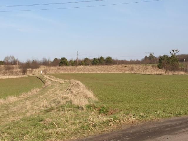 Działka rolno-budowlana Miasteczko Śląskie. Zdjęcie 1