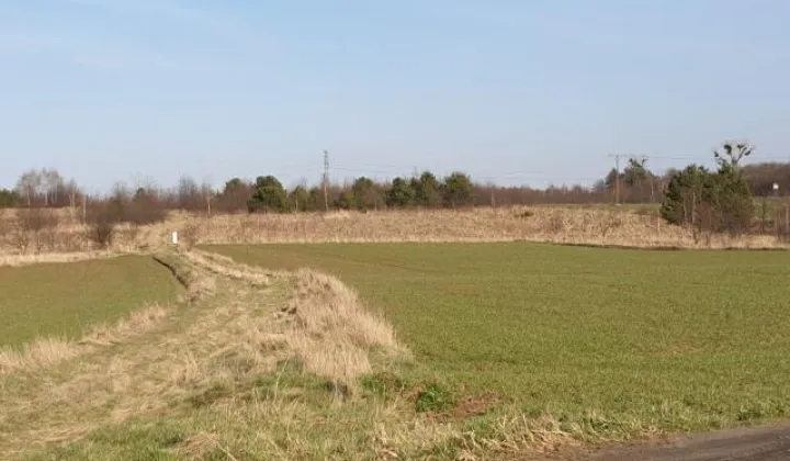 Działka rolno-budowlana Miasteczko Śląskie