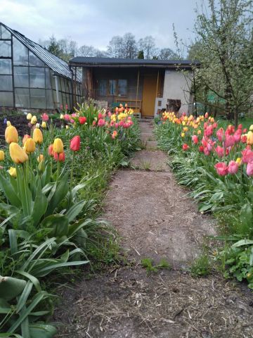 Działka rod Giżycko. Zdjęcie 1