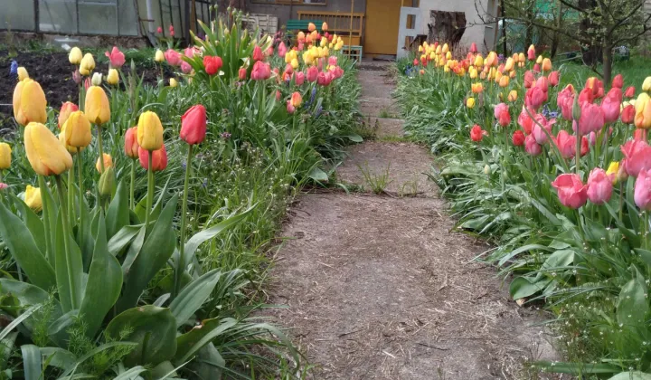 Działka rod Giżycko